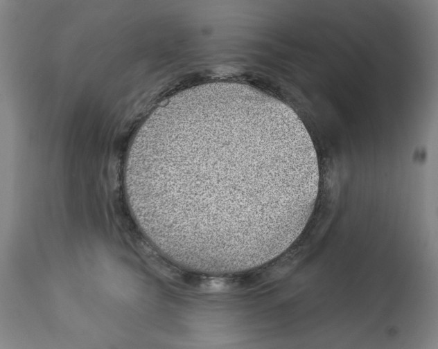 X0000112920565200910051111