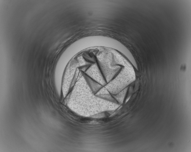 X0000112920566200910051111