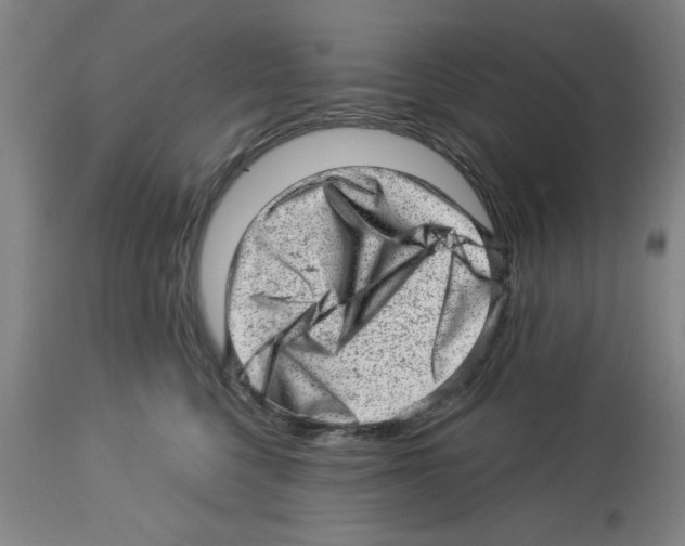X0000112920568200910051111