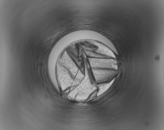 X0000112920570200910051111
