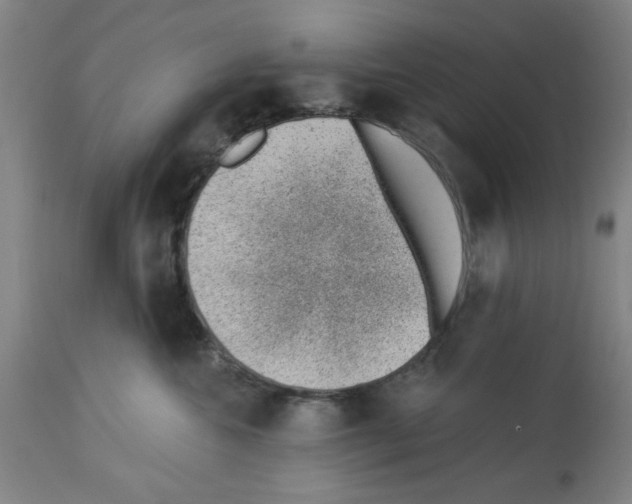 X0000112920572200910051111