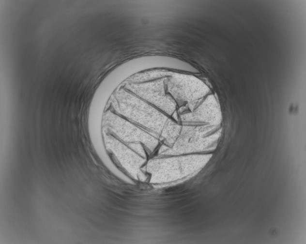 X0000112920576200910051111