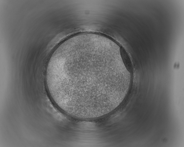 X0000112920577200910051110