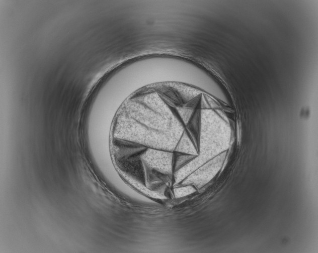 X0000112920579200910051110