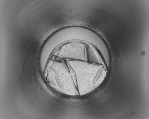 X0000112920581200910051110