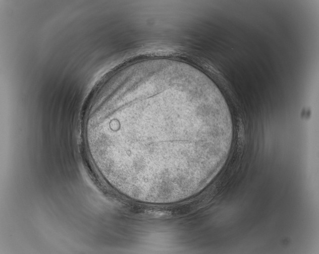 X0000112920582200910051110