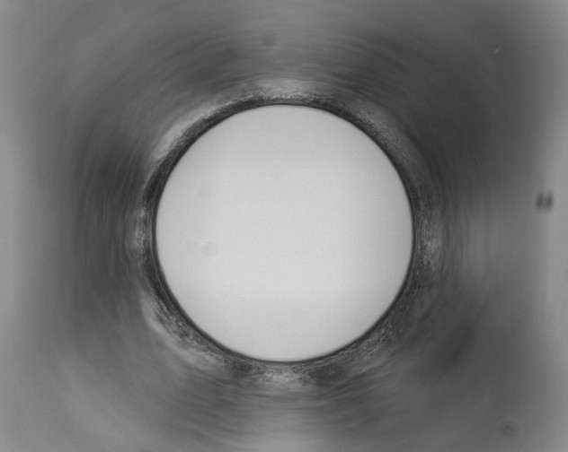 X0000112920583200910051110