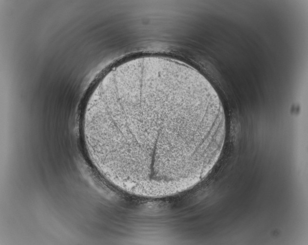 X0000112920584200910051110