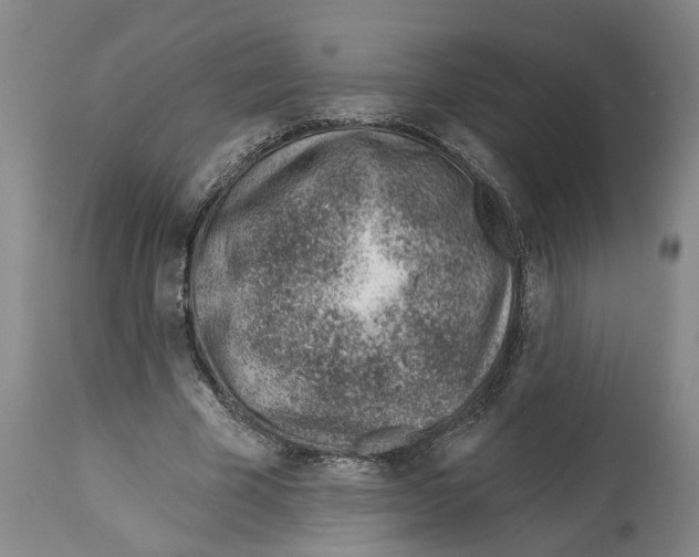 X0000112920585200910051110