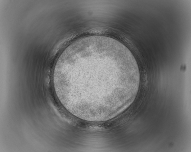 X0000112920586200910051110