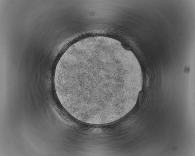 X0000112920588200910051110
