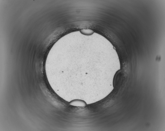 X0000112920589200910051110