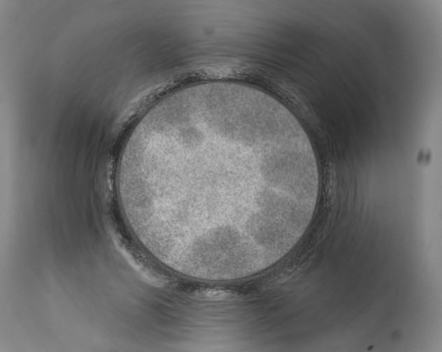X0000112920590200910051110
