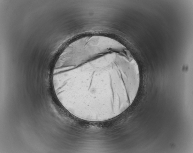 X0000112920592200910051110