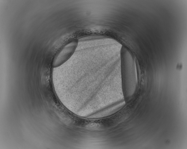 X0000112920593200910051110