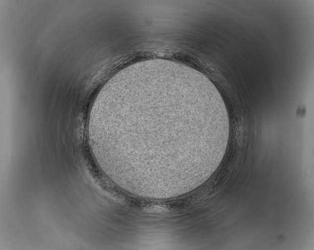 X0000112920594200910051110