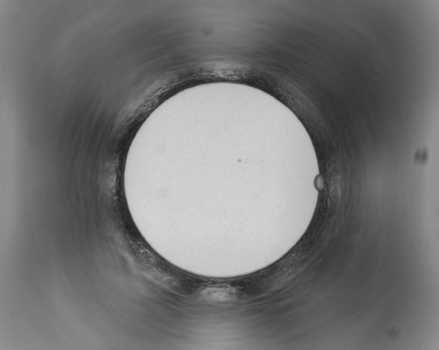 X0000112920595200910051109