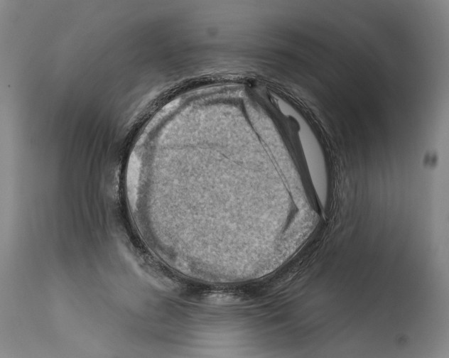 X0000112920596200910051109