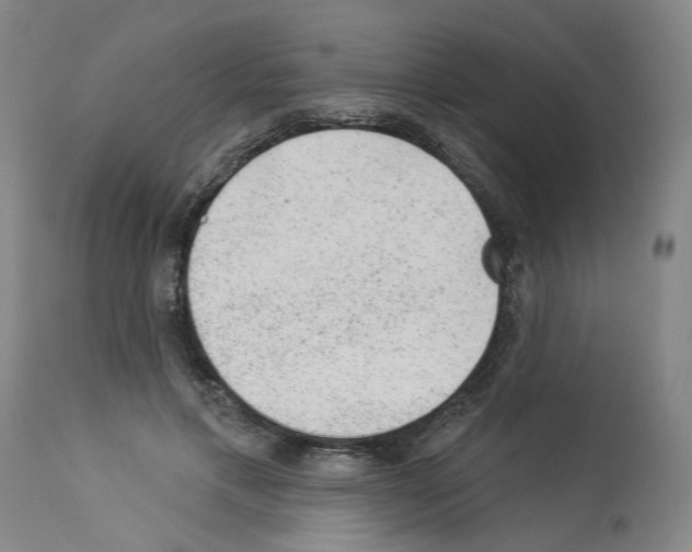 X0000112920597200910051109