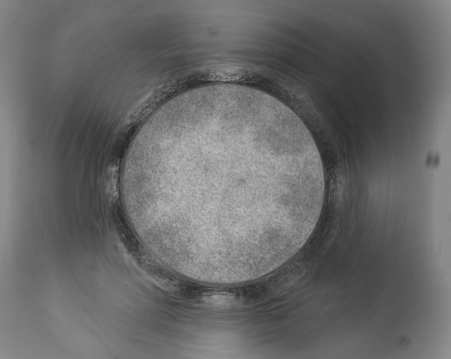 X0000112920598200910051109