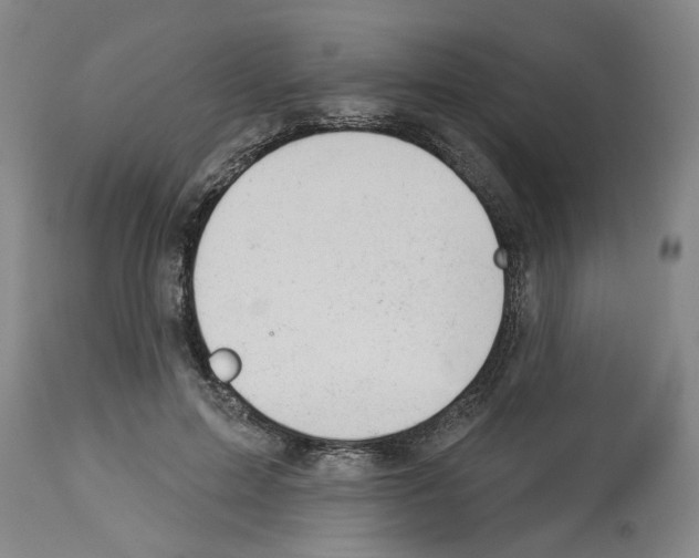 X0000112920599200910051109