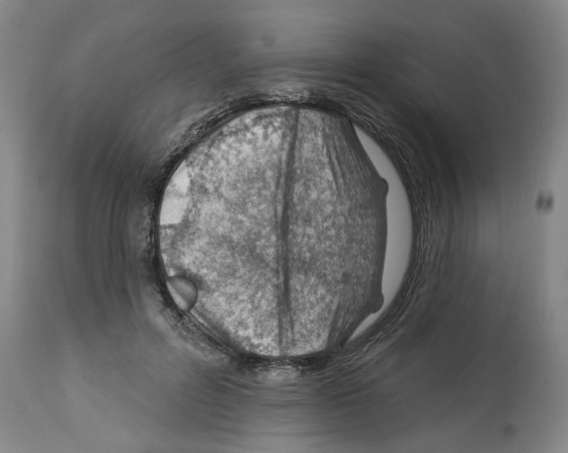 X0000112920600200910051109