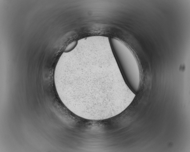 X0000112920601200910051109