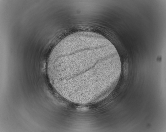 X0000112920602200910051109