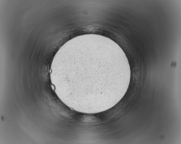 X0000112920605200910051109