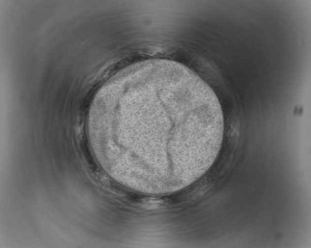 X0000112920607200910051109