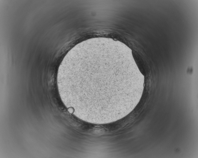 X0000112920608200910051109