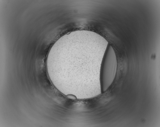 X0000112920611200910051109
