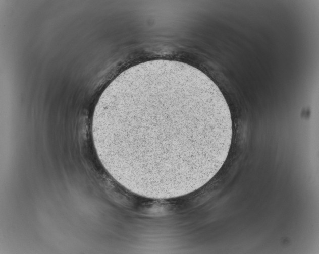 X0000112920612200910051109