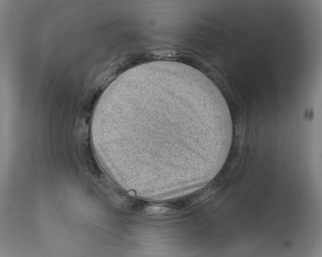 X0000112920614200910051109