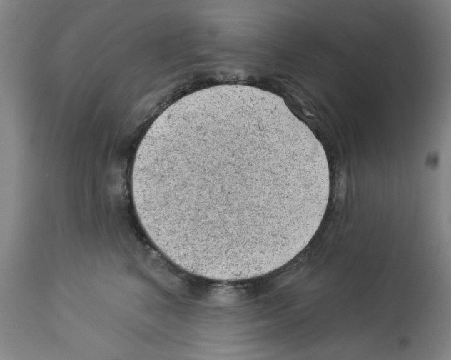 X0000112920616200910051109