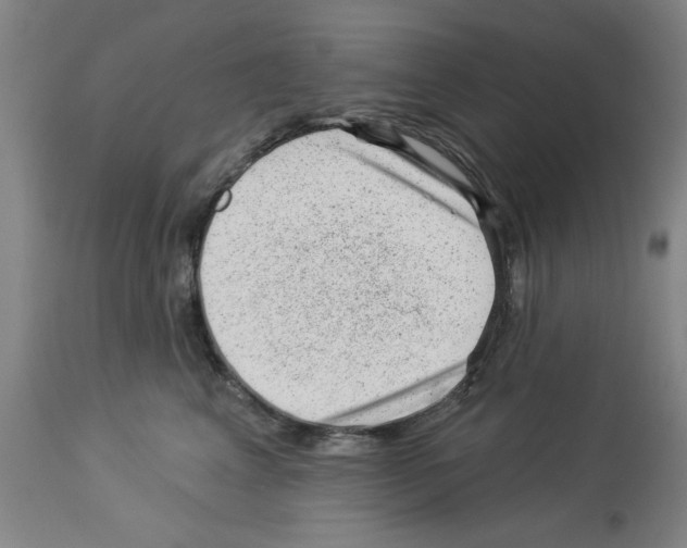 X0000112920617200910051109