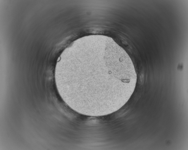 X0000112920620200910051109