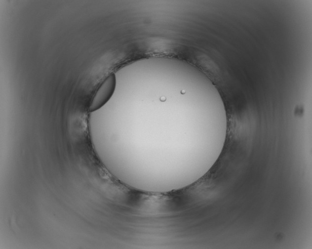X0000112920621200910051109