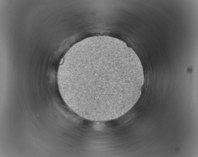 X0000112920623200910051109