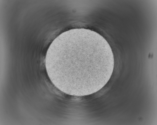 X0000112920624200910051109