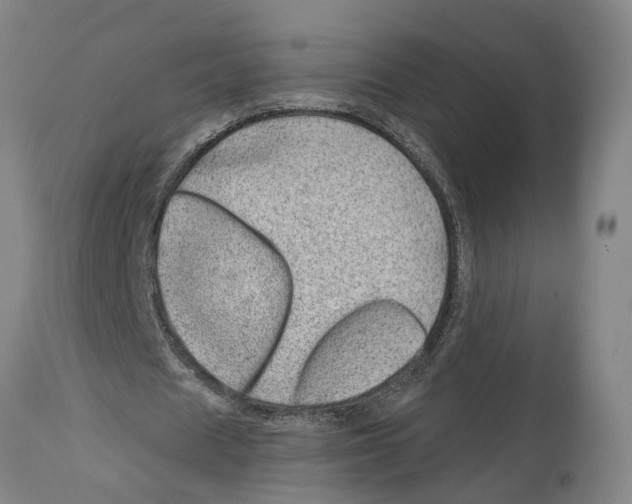 X0000112920625200910051108