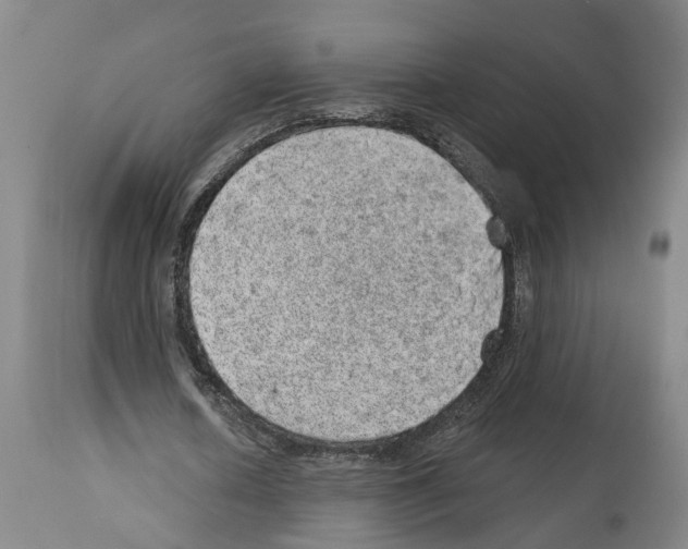 X0000112920626200910051108