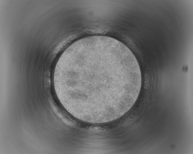 X0000112920634200910051109