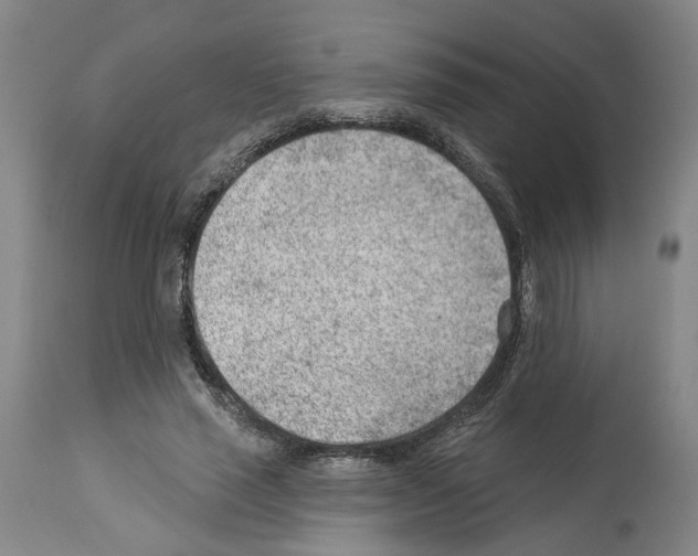 X0000112920637200910051109