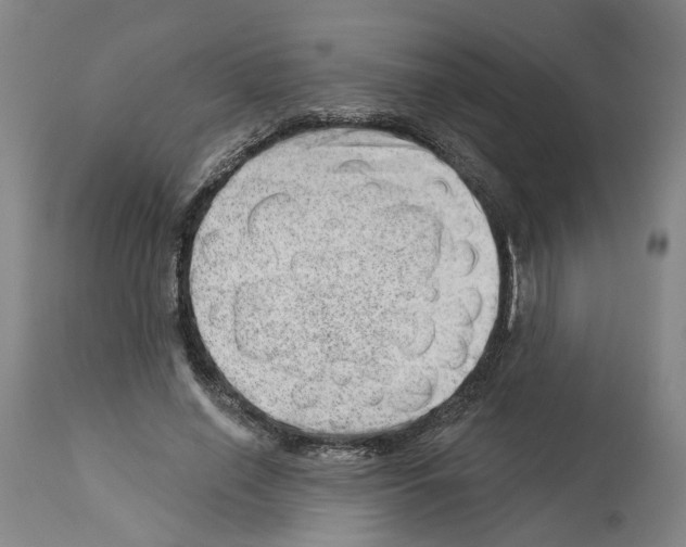 X0000112920638200910051109