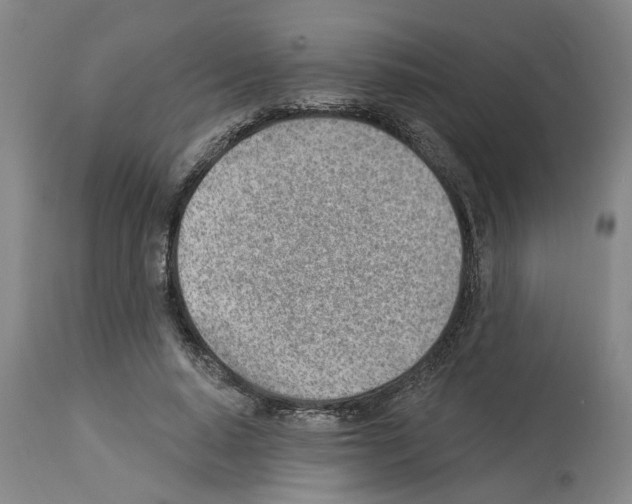 X0000112920640200910051109