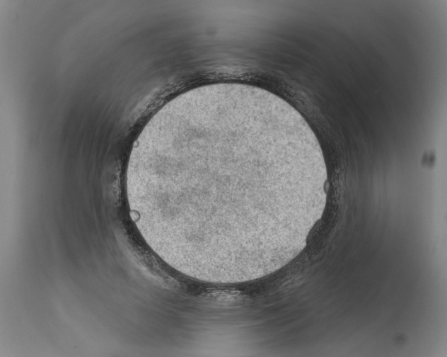 X0000112920642200910051109