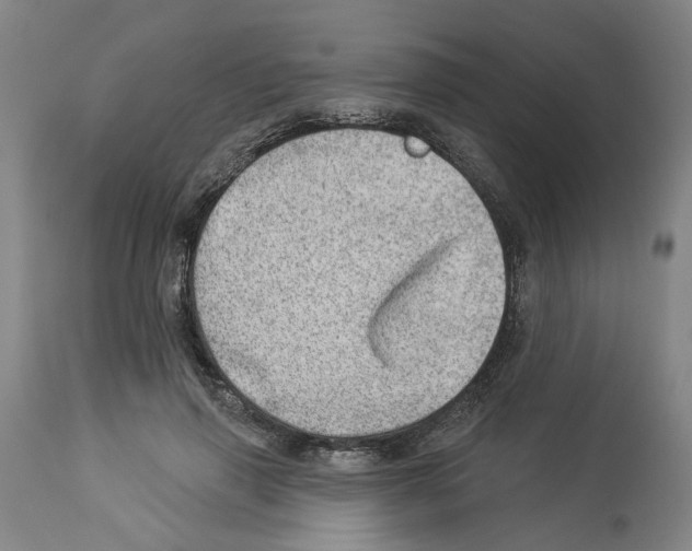 X0000112920645200910051109