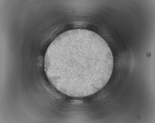 X0000112920649200910051109