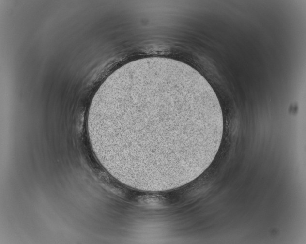 X0000112920652200910051109